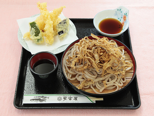 Tempura and cold gobo noodles